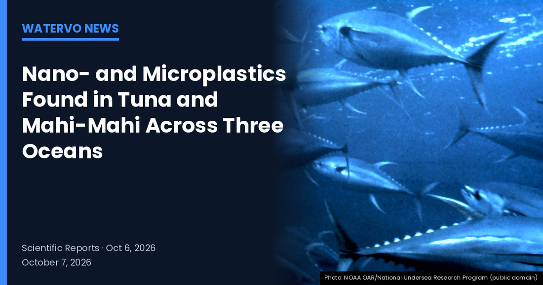 Yellowfin tuna swimming in the Gulf Stream, with the headline "Nano- and Microplastics Found in Tuna and Mahi-Mahi Across Three Oceans" — WaterVO News