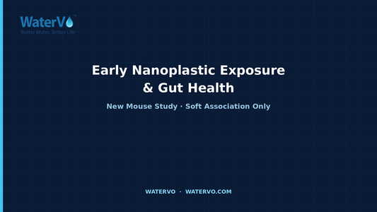 WaterVo News â Early-life nanoplastic gut title card