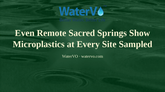 Even Remote Sacred Springs Show Microplastics at Every Site Sampled
