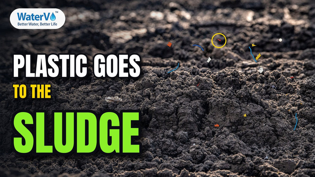 Close-up of dark, crumbly biosolids with small colored plastic fragments and fibers, with the headline: Plastic goes to the sludge